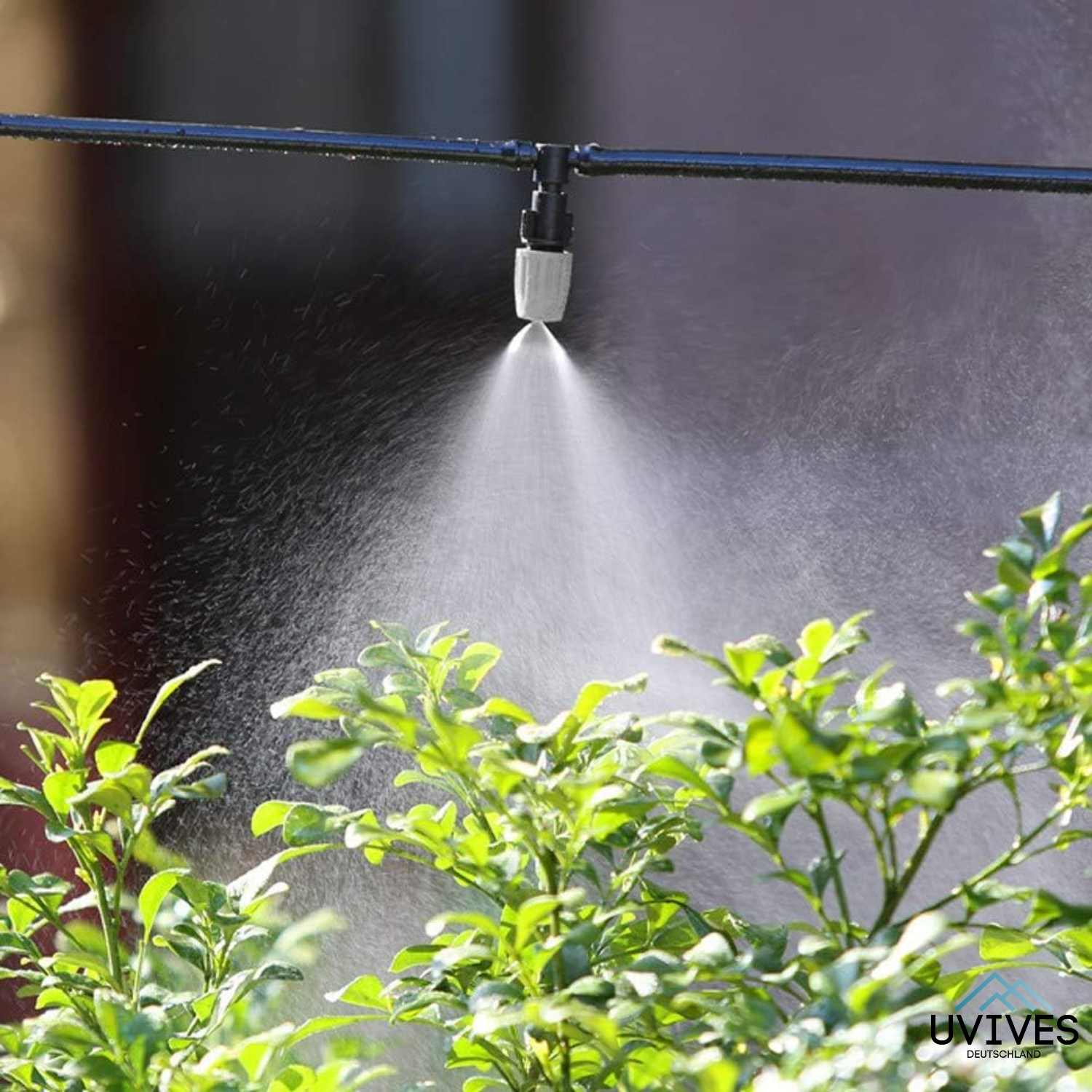 AquaFix Pro - Maximale opbrengst met minimale inspanning (set van 20)