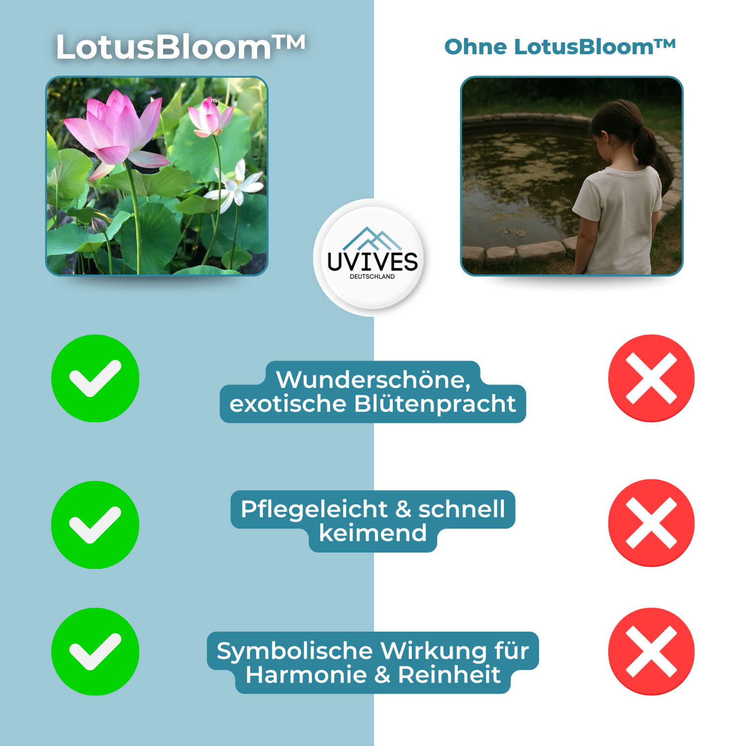 5+5 GRATIS | LotusBloom™ - Magische bloemenpracht voor uw vijver