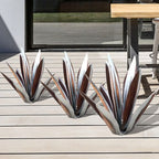 Waterdichte Eternal Agave Rustiek Sculptuur