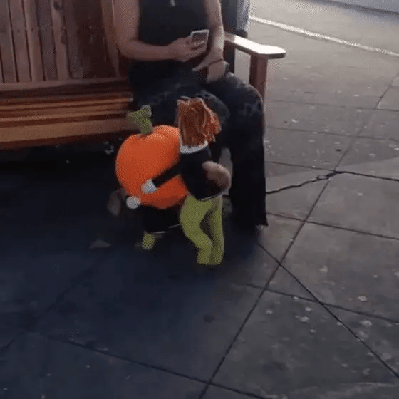 Schattig en Griezelig Huisdierkostuum voor Halloweenplezier