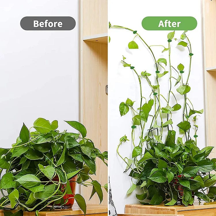 10+10 GRATIS | GrowGrip™ - bevestigingsclips voor planten