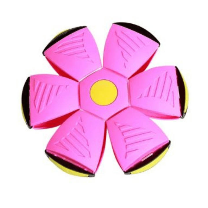 Interactief vliegend hondenspeelgoed voor energiek speeltijdplezier