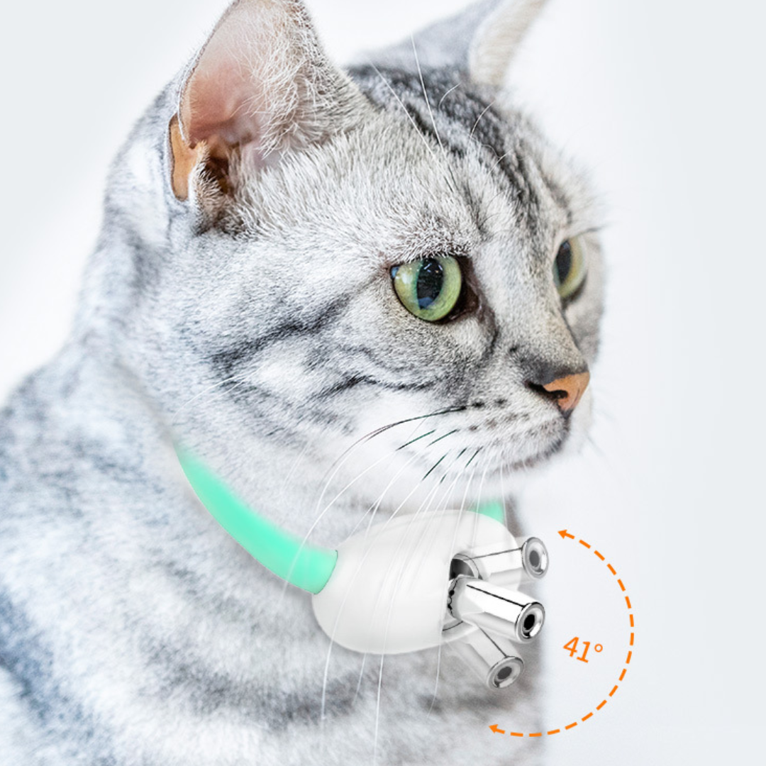 FurryFlash - Kattenhalsband Laser Licht Speelgoed - Eindeloos speelplezier voor je kat