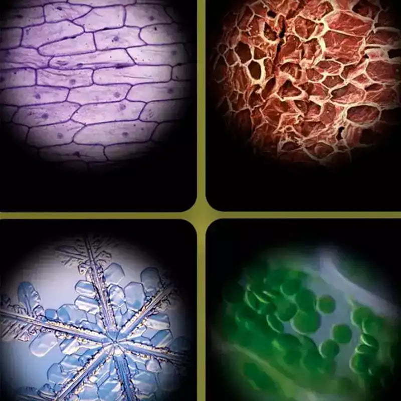 MicroQuest - De zakmicroscoop voor kleine ontdekkingsreizigers