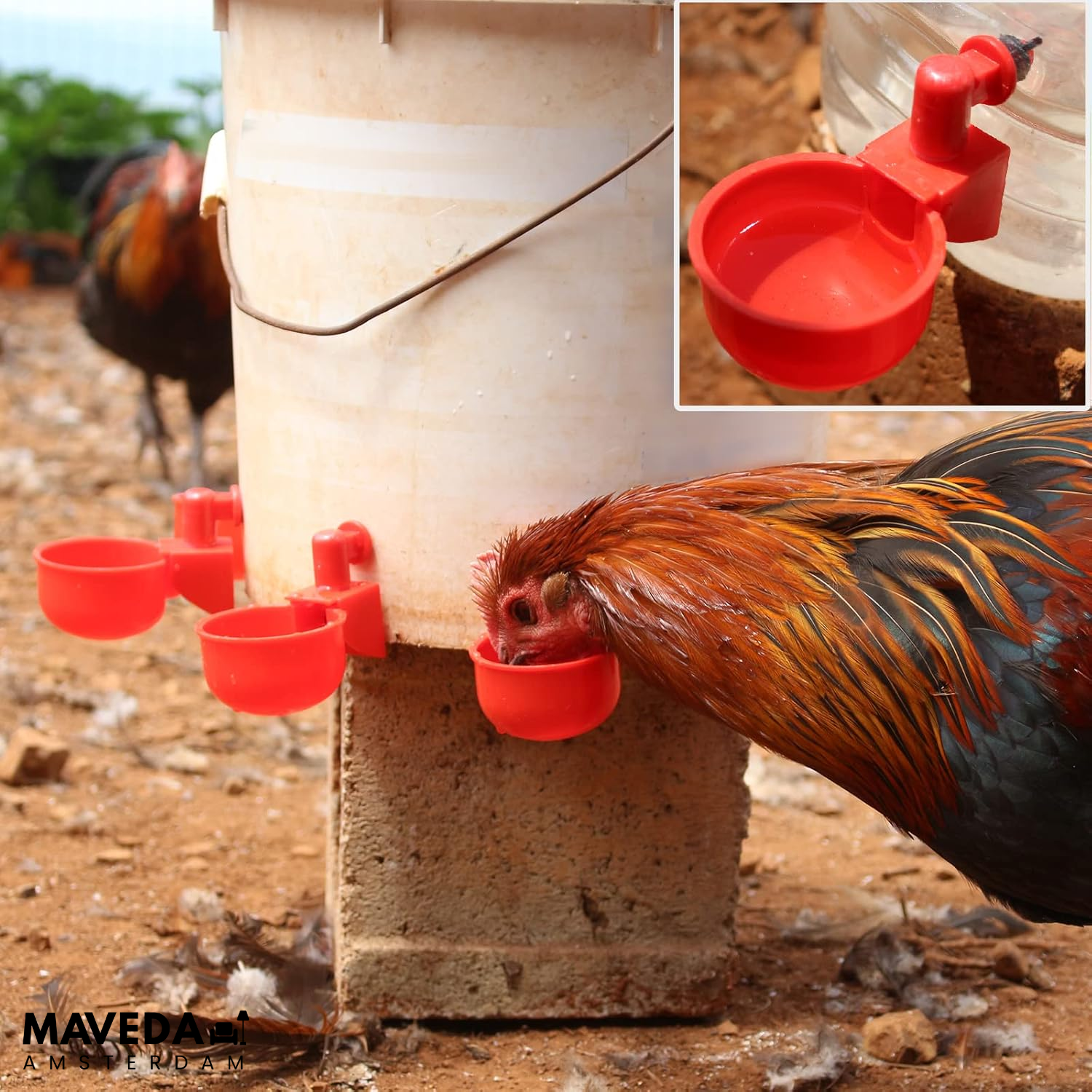 3+3 GRATIS | AquaNest- Vers water voor tevreden dieren