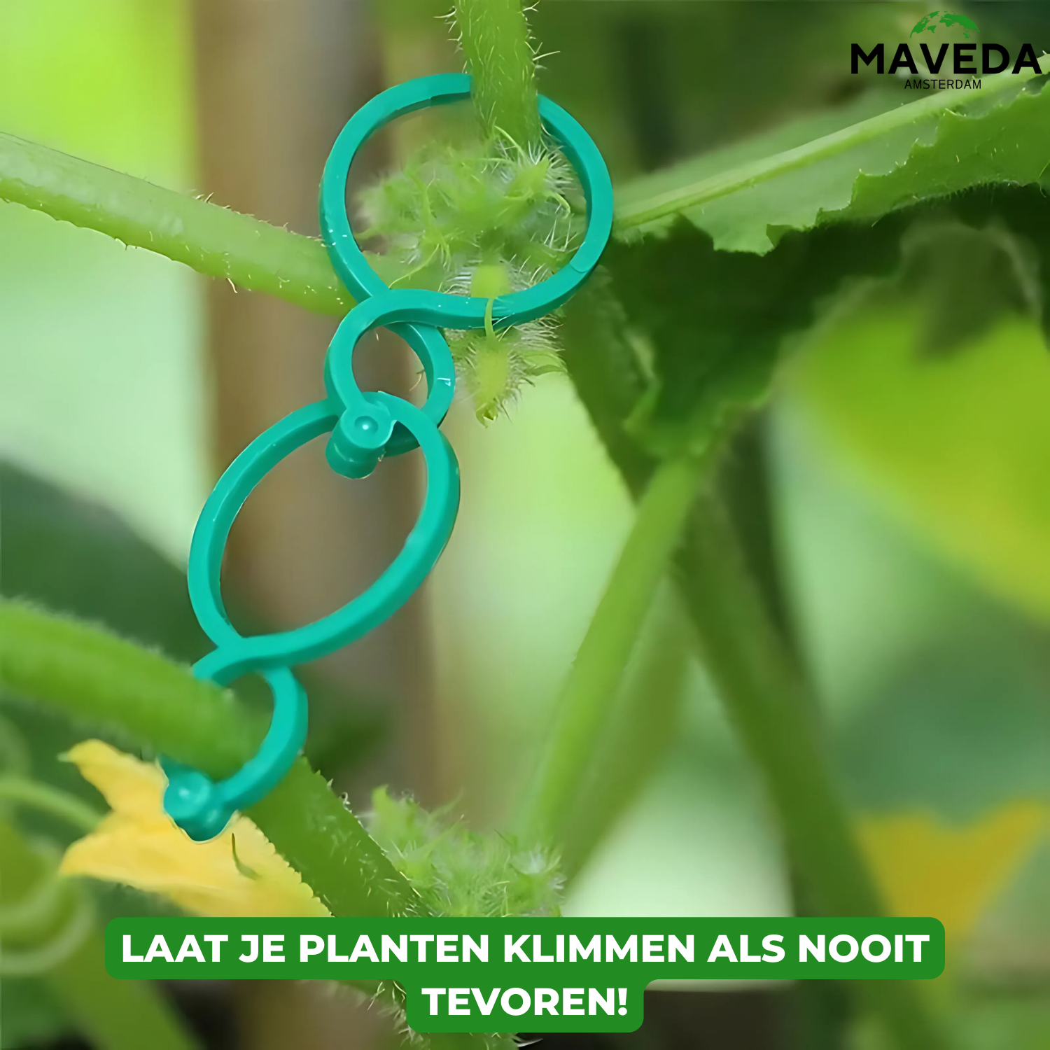 25+25 GRATIS | VineClamp™  - Plantentakhouder