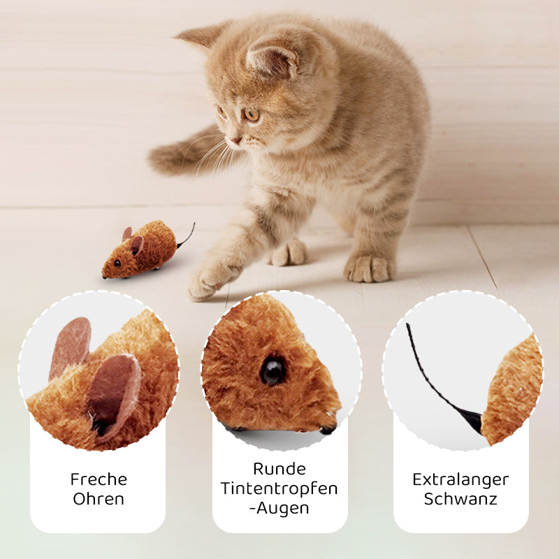 2+1 GRATIS | PawChase - achtervolgen, spelen, jammeren - plezier voor je kat!