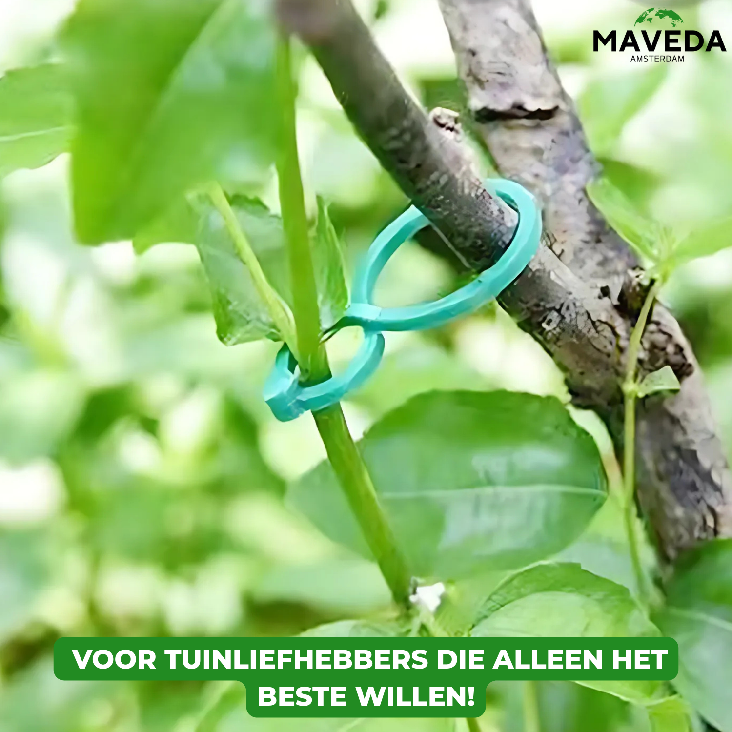 25+25 GRATIS | VineClamp™  - Plantentakhouder