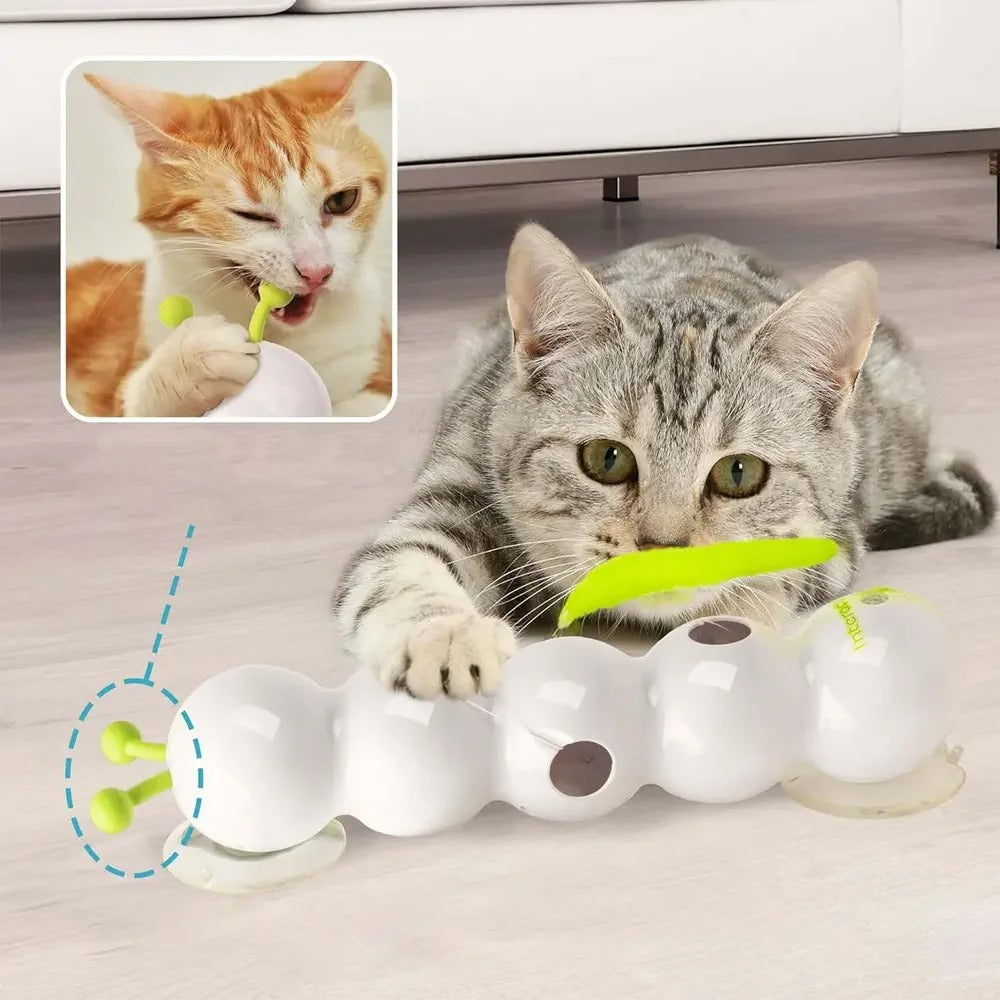 CatWhirl - Breng de wilde jager terug!