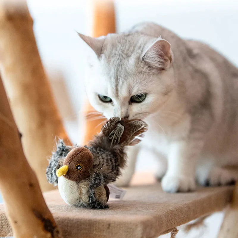 50% KORTING | BirdyPurr - Het veilige speelkameraadje voor je kat! [Laatste dag korting]