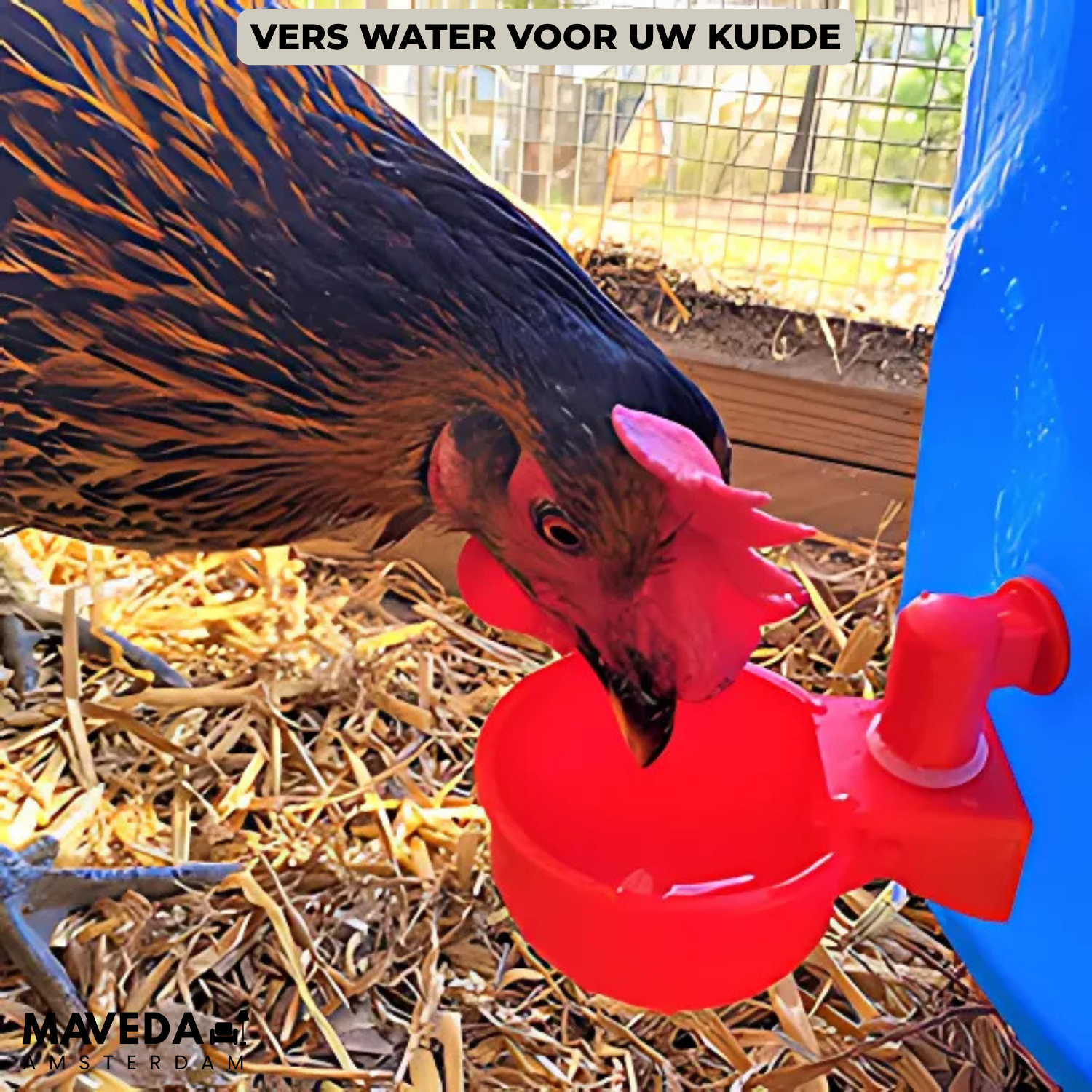 3+3 GRATIS | AquaNest- Vers water voor tevreden dieren