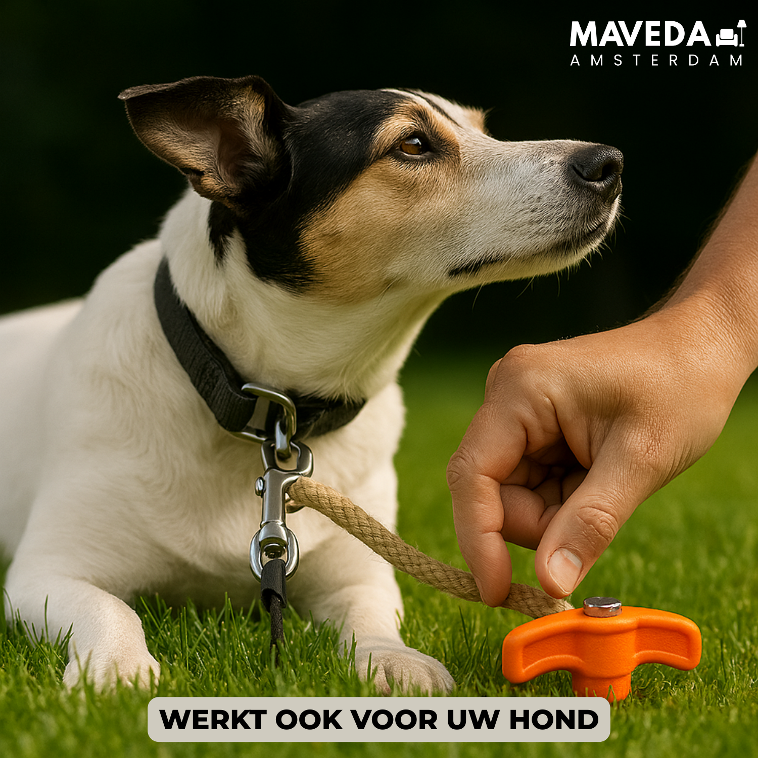 2+2 GRATIS | DrillPeg™ - Veranker je tent veilig in seconden