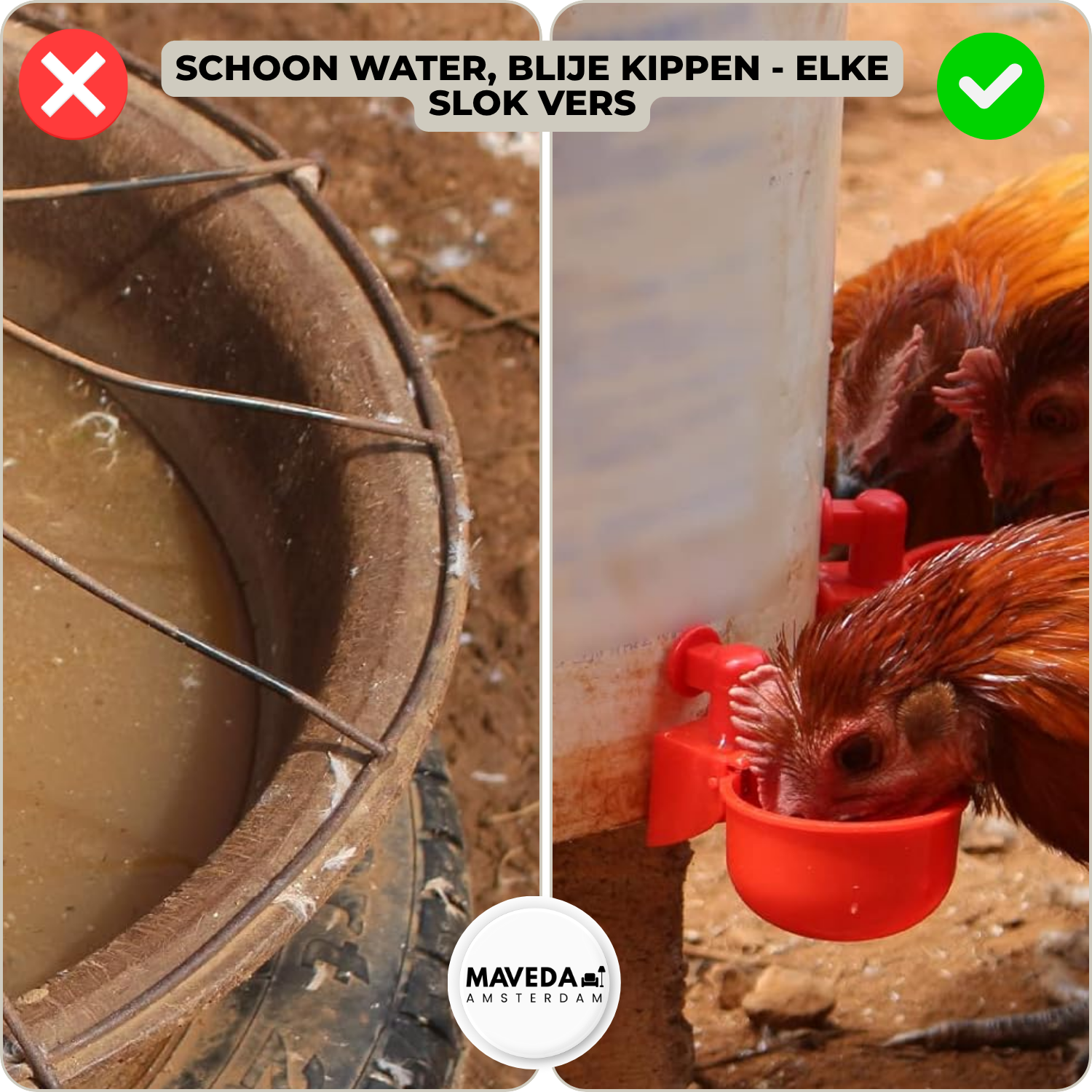 3+3 GRATIS | AquaNest- Vers water voor tevreden dieren