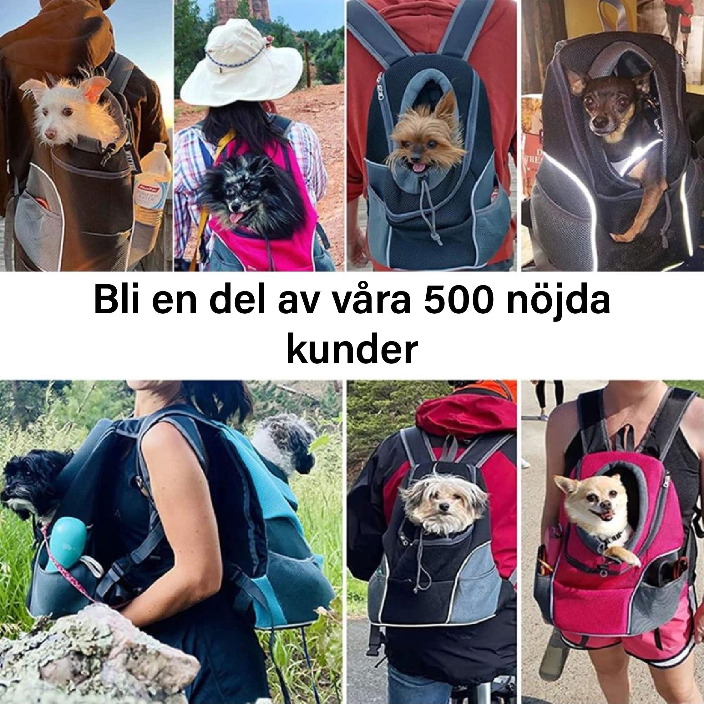PawCarry - Overal samen naartoe reizen