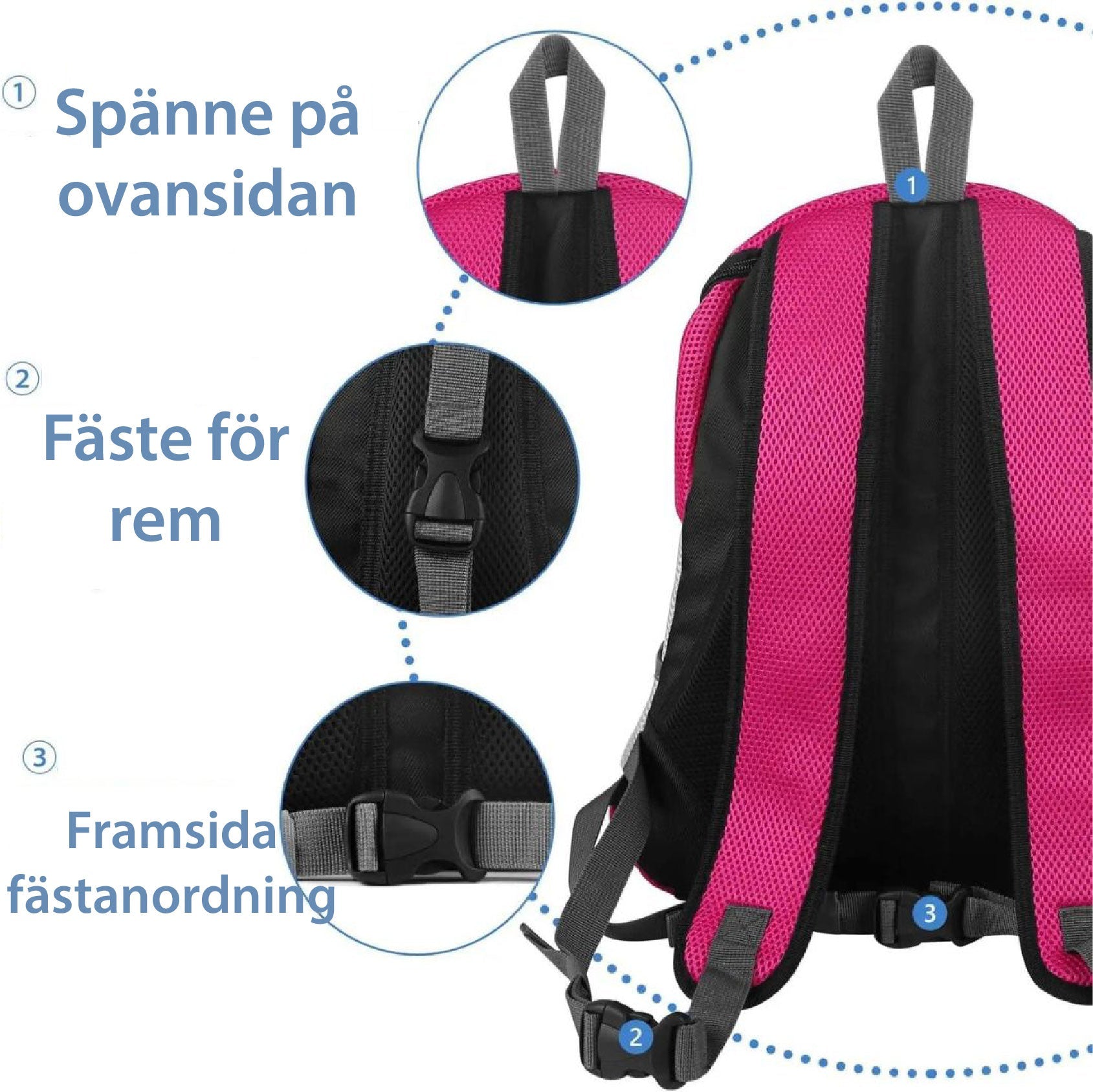 PawCarry - Overal samen naartoe reizen