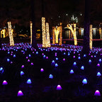 Unieke LED-verlichting voor tuin