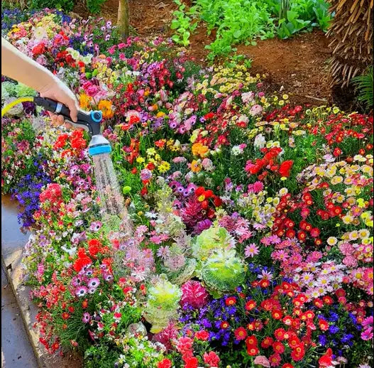 BloomMix™ - Kleurrijke bloemenvariëteit het hele jaar door