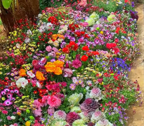 BloomMix™ - Kleurrijke bloemenvariëteit het hele jaar door