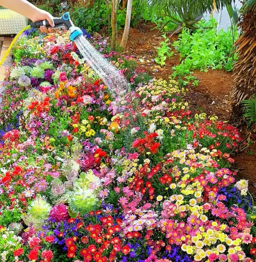 BloomMix™ - Kleurrijke bloemenvariëteit het hele jaar door