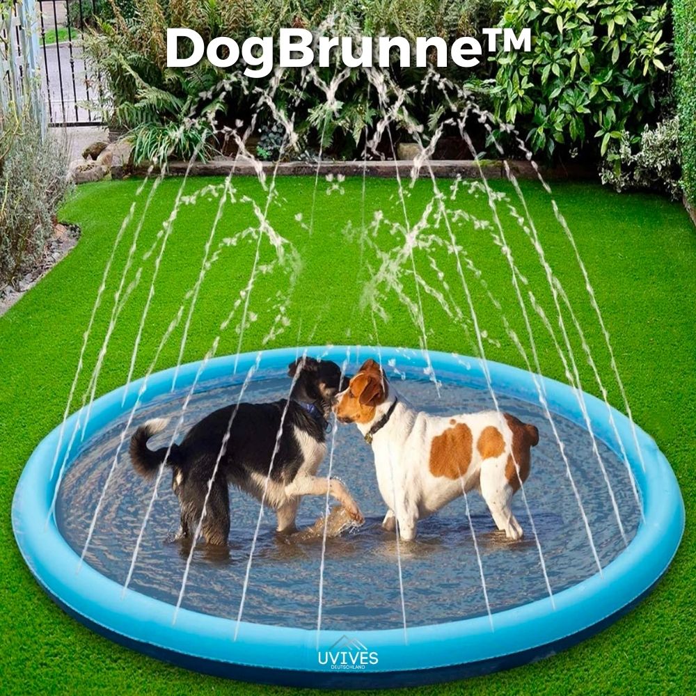 50% KORTING | DogBrunne™ - Houd je trouwe vriend koel op warme zomerdagen!