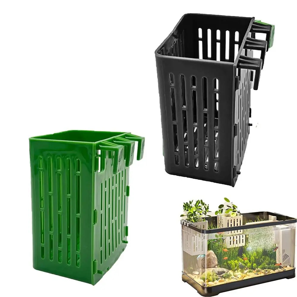 1+1 GRATIS | TankBloom – Natuurlijke flair voor je aquarium!