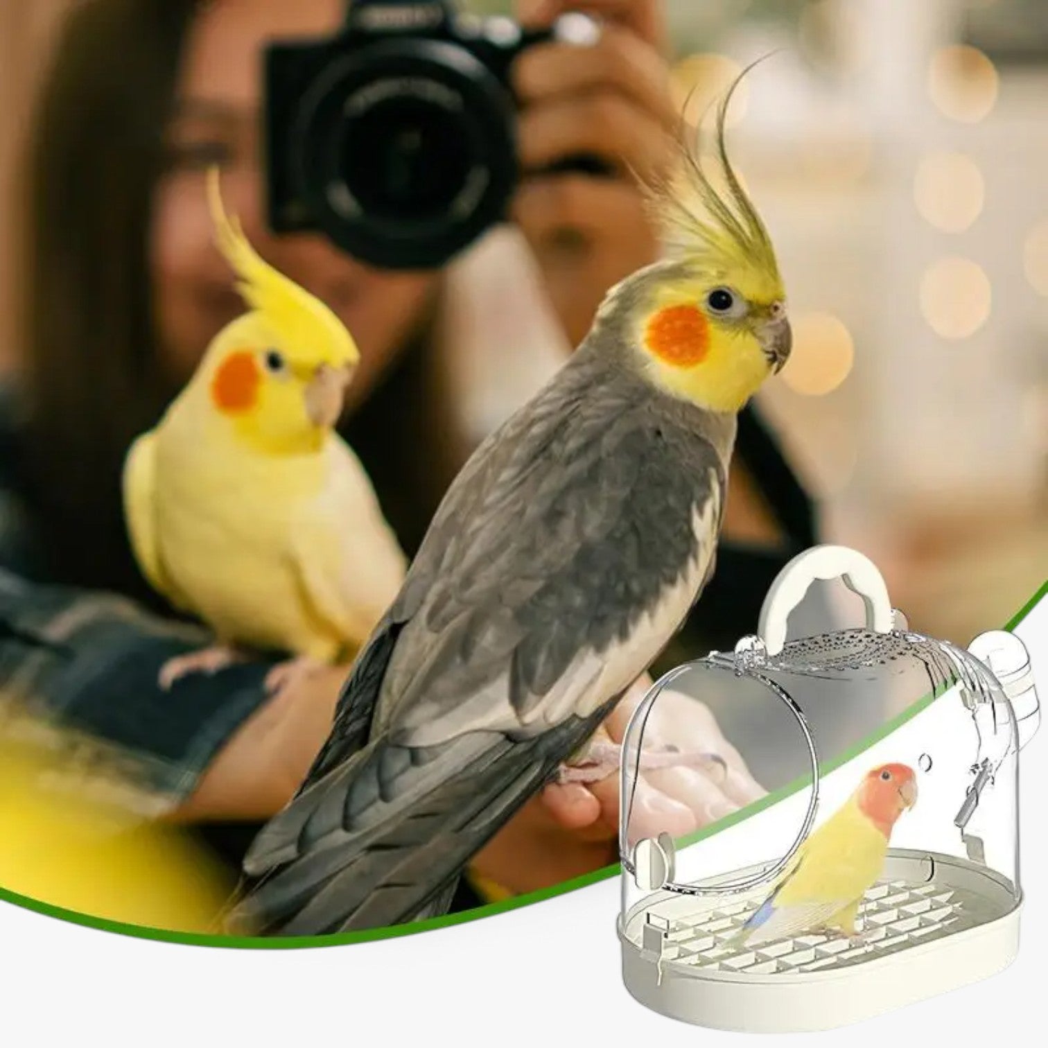 ElviTravel - The comfort cage for traveling!