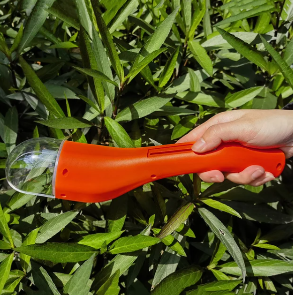 BugWhisper – Vang insecten voorzichtig en veilig!