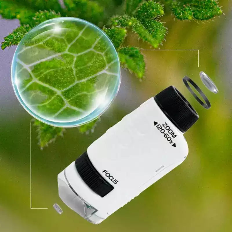 MicroQuest - De zakmicroscoop voor kleine ontdekkingsreizigers