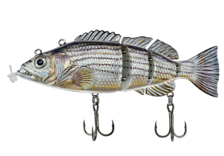 PredaBot - Het AI-aas voor uw volgende recordvangst!