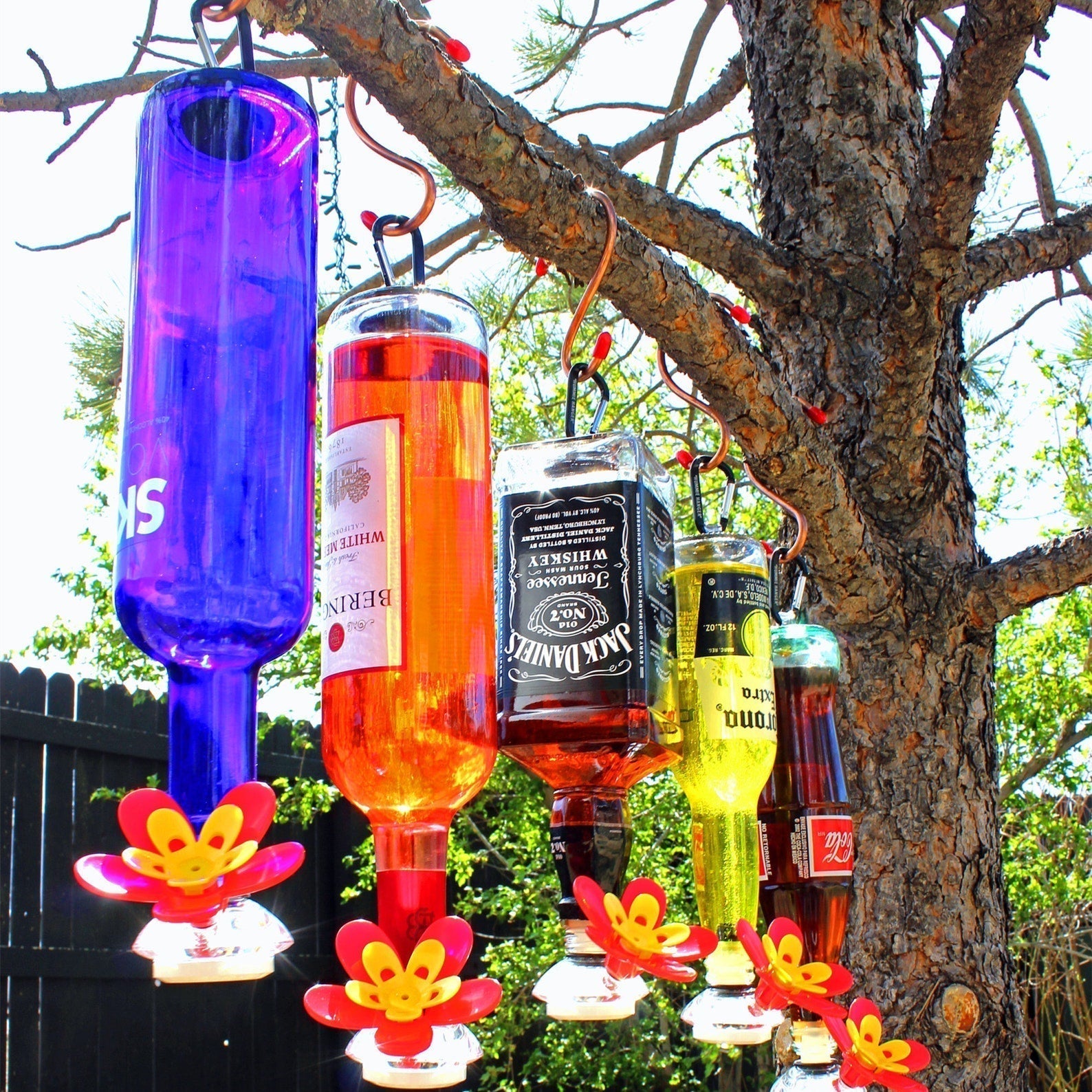 BloomSip - De slimme bar voor kolibries!