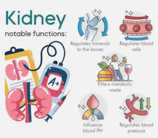 Magnetische Acupressuurclip voor Suikercontrole en Welzijn