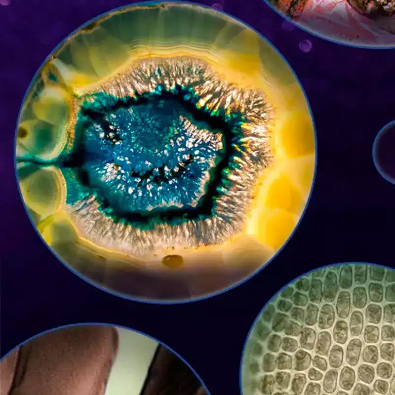 MicroQuest - De zakmicroscoop voor kleine ontdekkingsreizigers