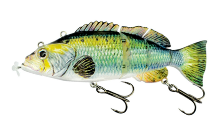 PredaBot - Het AI-aas voor uw volgende recordvangst!