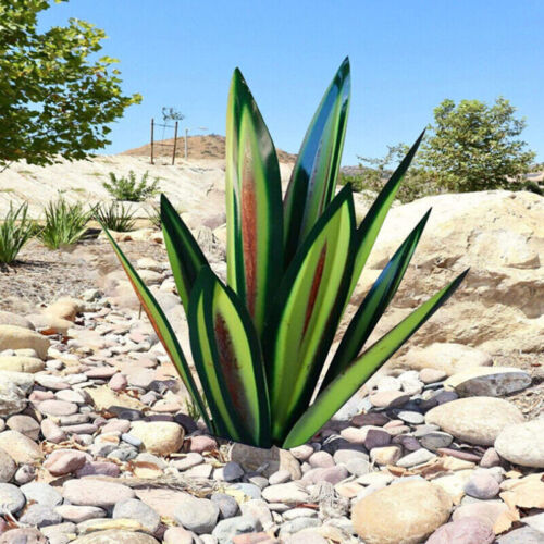 Waterdichte Eternal Agave Rustiek Sculptuur