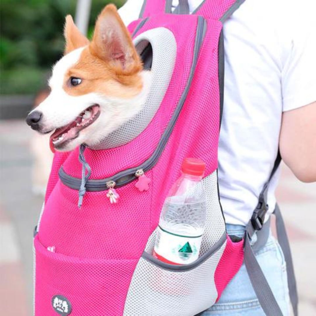 PawCarry - Overal samen naartoe reizen