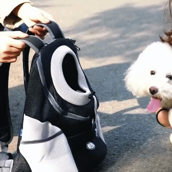 PawCarry - Overal samen naartoe reizen