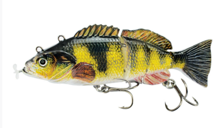 PredaBot - Het AI-aas voor uw volgende recordvangst!